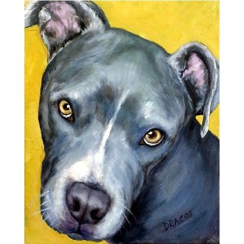 480x480 Pit Bull Terrier Dog Art 8x10 Print Painted By Dottie Dracos, Blue - Pitbull Painting