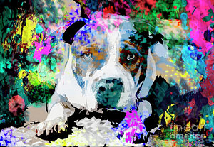 300x207 Pitbull Paintings Fine Art America - Pitbull Painting