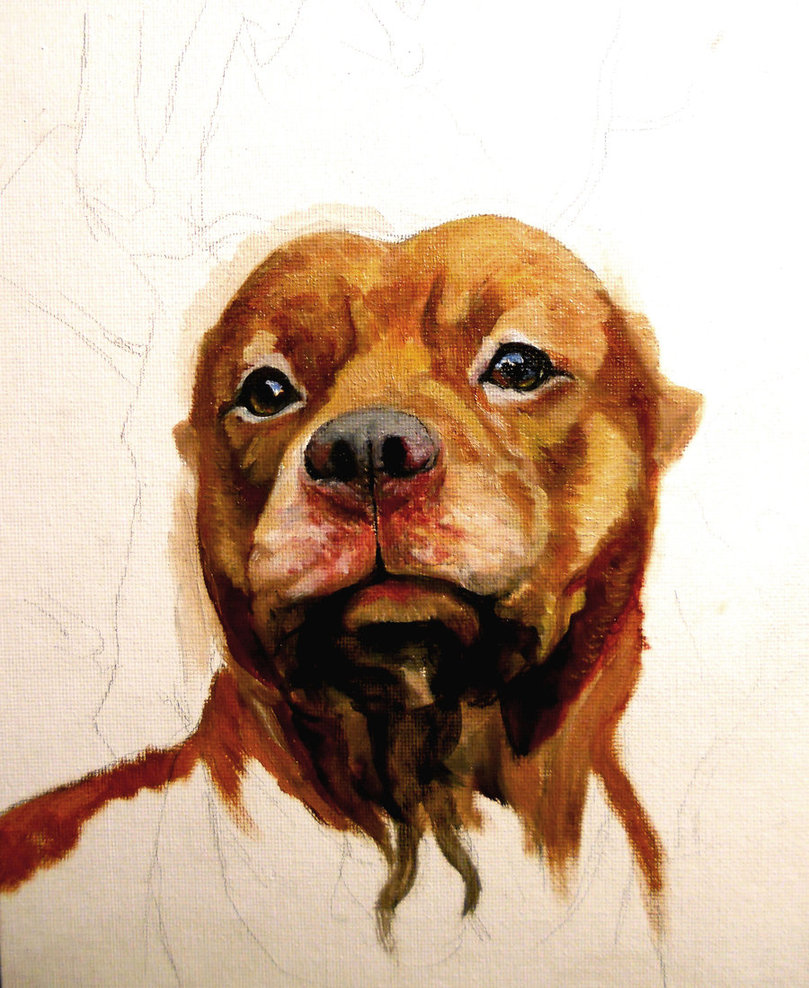 809x988 Wip - Pitbull Painting