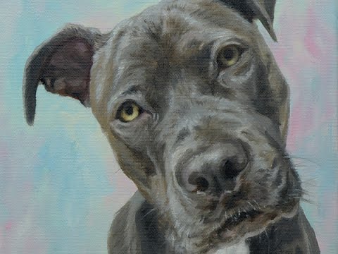 Pitbull Painting at PaintingValley.com | Explore collection of Pitbull ...