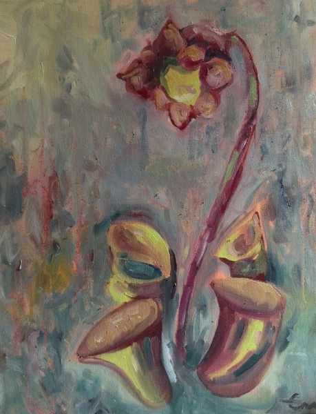 459x600 The Perfect Pitcher Plant Painting For Your Walls! - Pitcher Painting