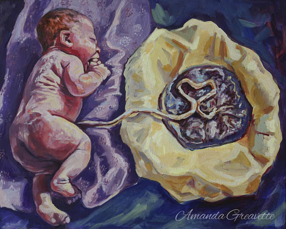 570x456 Original Oil Painting Lotus Placenta - Placenta Painting