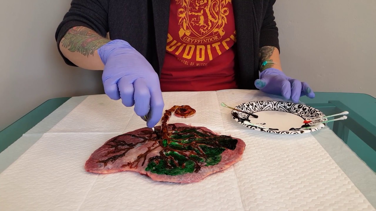1280x720 How To Make A Placenta Print Painting Happy Little Trees Of Life - Placenta Painting