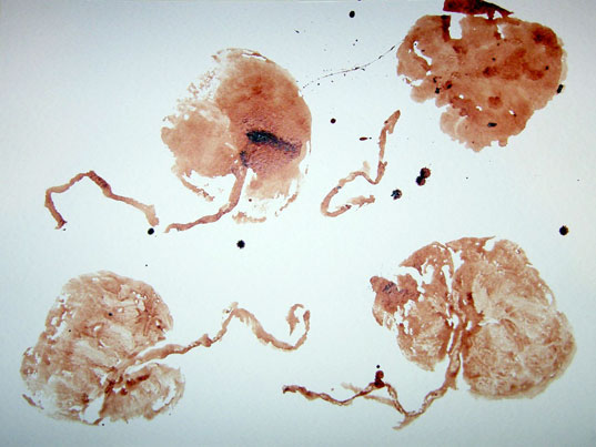 537x403 Make An Original Work Of Art With Your Placenta Inhabitots - Placenta Painting