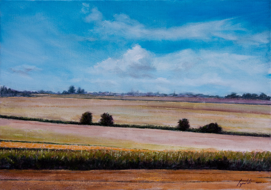 900x632 Vojvodina Plain Oil Painting Fine Arts Gallery - Plain Painting