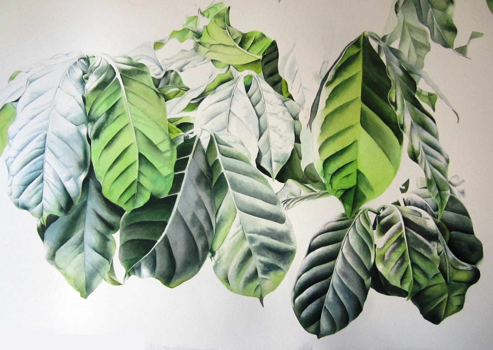 1600x1138 Inky Leaves Botanical Illustration In East London - Plant Painting