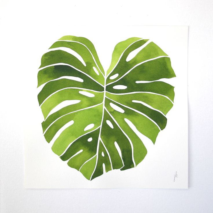 736x736 4771 Best Watercolour Images On Watercolor Paintings - Plant Painting