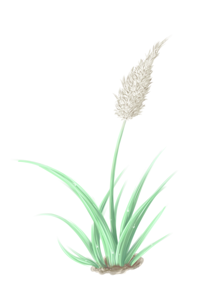 800x1190 Plant Painting By Namyi - Plant Painting