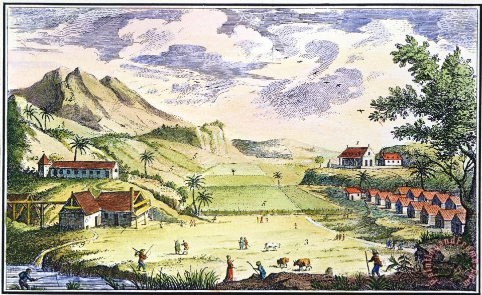 960x589 Others Haiti Sugar Plantation Painting - Plantation Painting