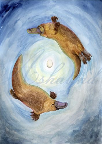 353x500 Platypus Totem Card By Ashalind On Joy Journal - Platypus Painting