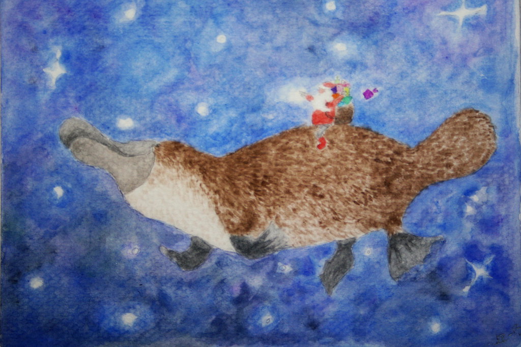 1024x683 Platypus Christmas Card By Mornienor - Platypus Painting