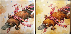 250x120 Platypus Paintings - Platypus Painting