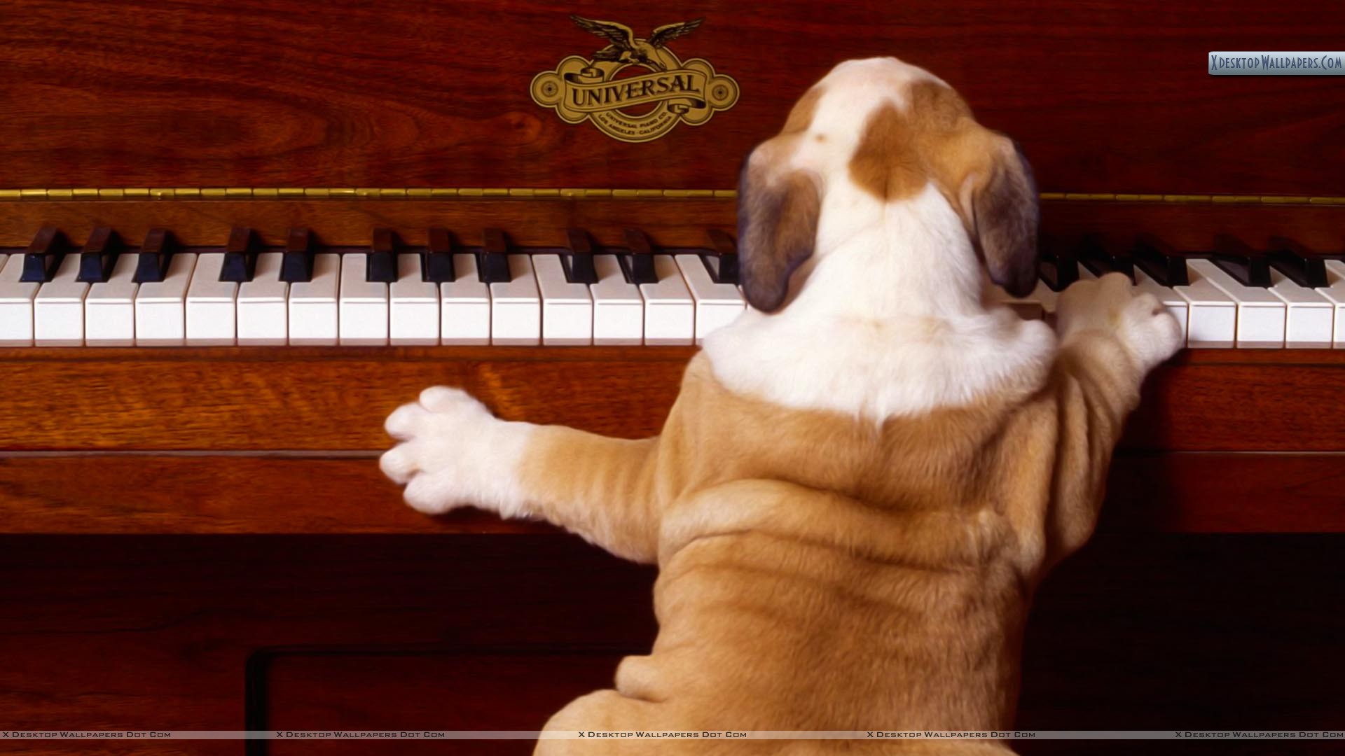 1920x1080 Play It Again, Sam Wallpaper - Play It Again Painting