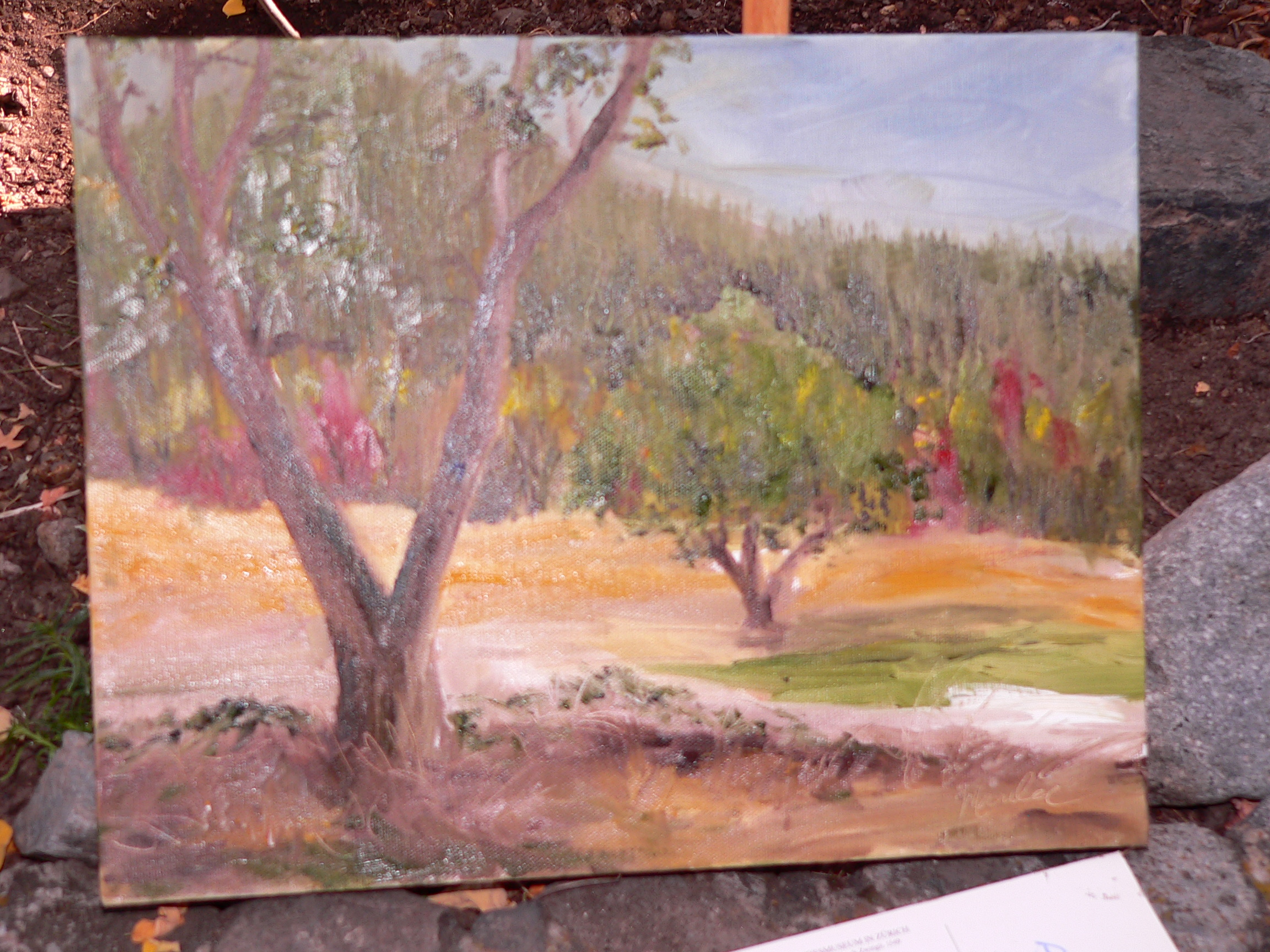 2304x1728 Paintings Marilee Ford, Plein Air Painter, Watercolor And Oil - Plenaire Painting