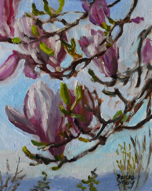 508x640 Darlene Young A Painting A Day 949 Magnolias, Oil On Board, 8x10 - Plenaire Painting