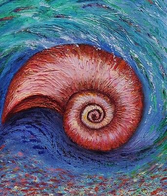 342x400 Original Oil Painting Shell Study, 18 X 14.framed Norfolk - Pletke Painting