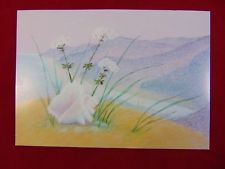 225x169 Art On Seashell Ebay - Pletke Painting