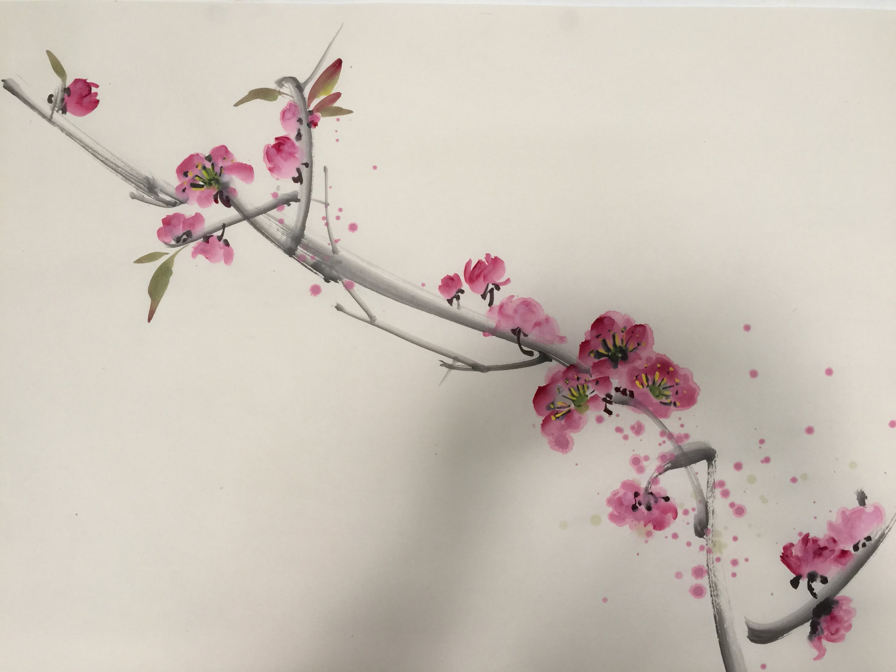 3000x2250 Dan's Painting Demo Plum Blossoms - Plum Blossom Painting