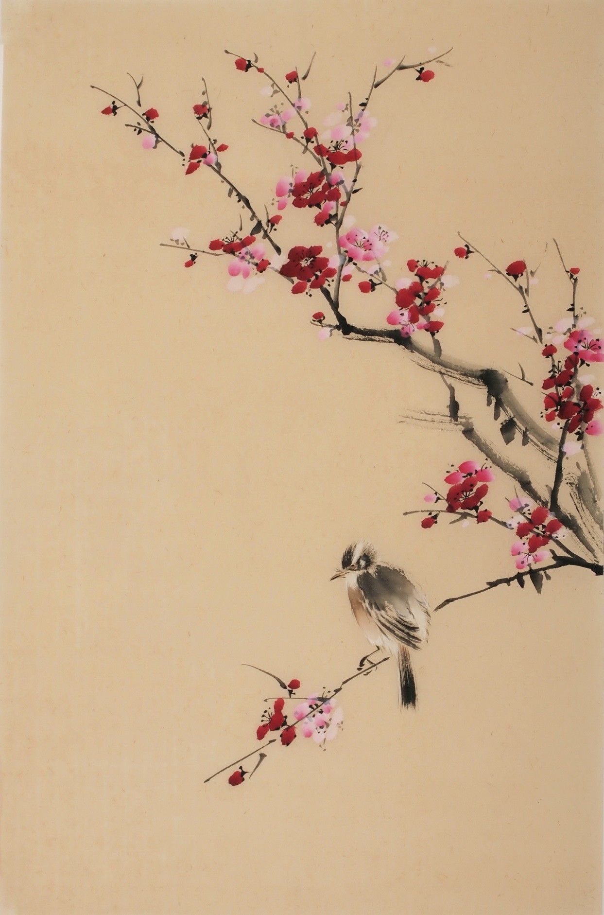 1243x1882 Plum - Plum Blossom Painting