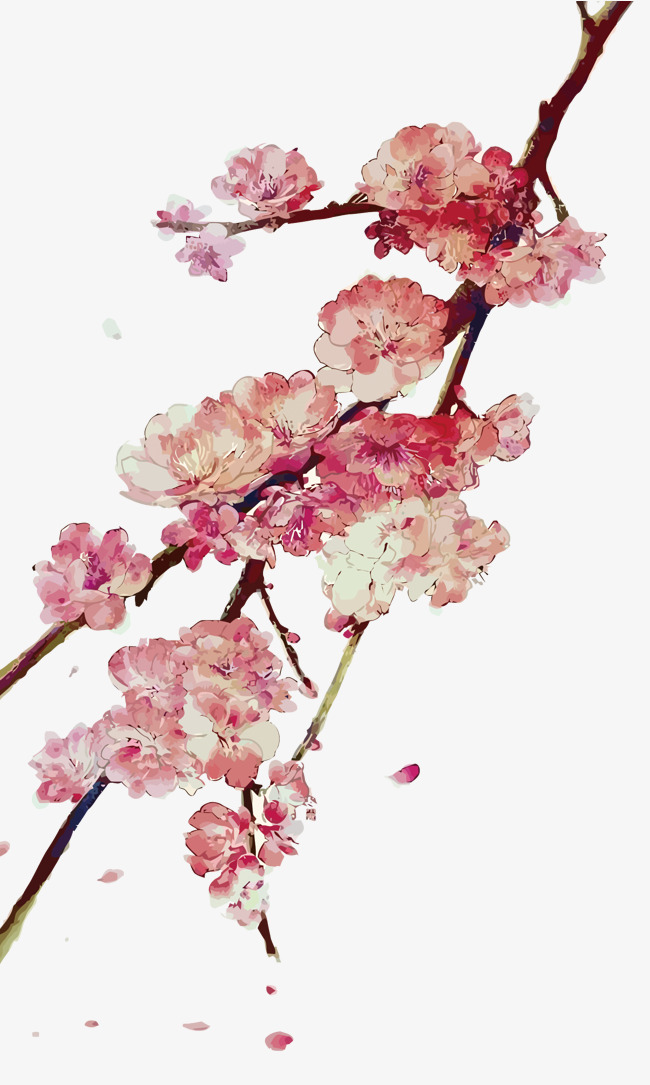 650x1085 Vector Plum Blossom, Watercolor, Hand Painted, Plum Blossom Png - Plum Blossom Painting