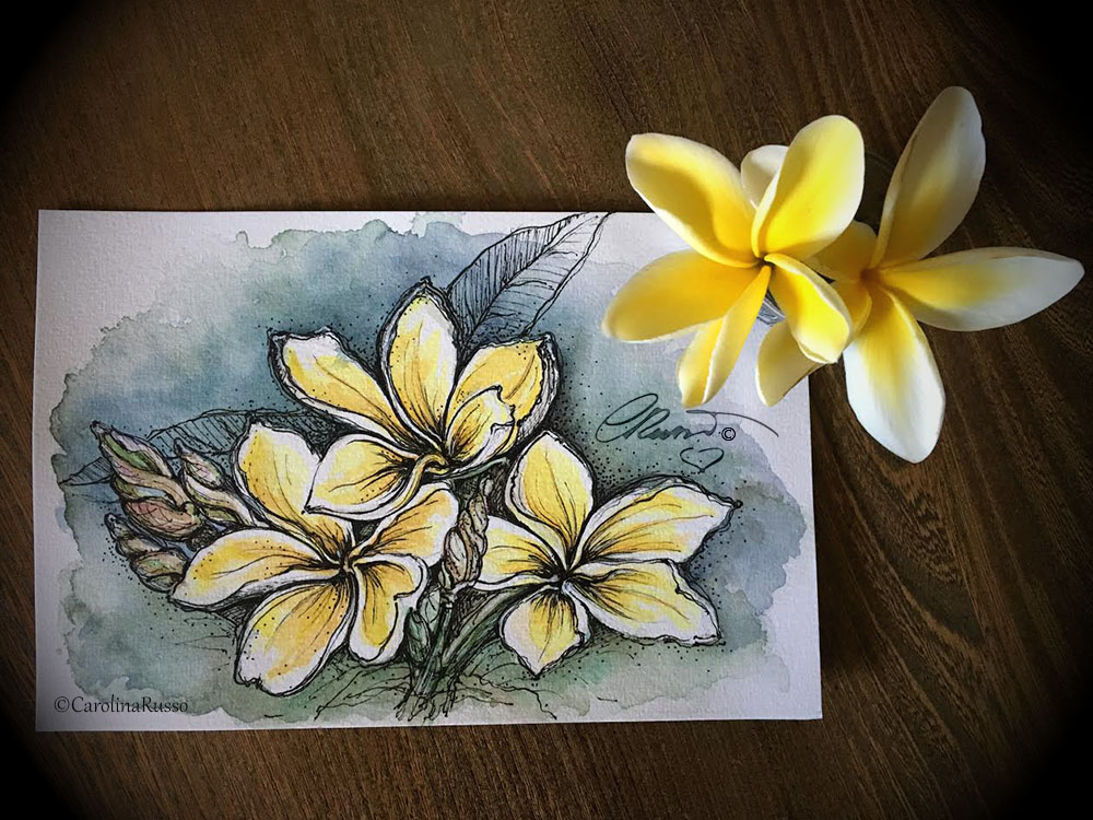 1000x750 Plumeria Flower Painting Challenge! Yesterdayafter - Plumeria Flower Painting