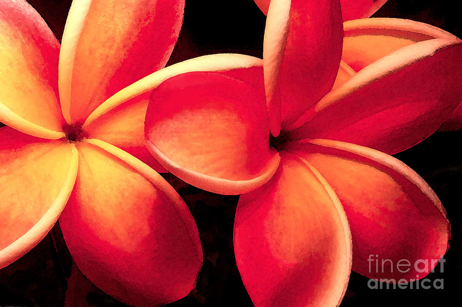 900x597 Plumeria Flowers Painting By Paul Topp - Plumeria Flower Painting