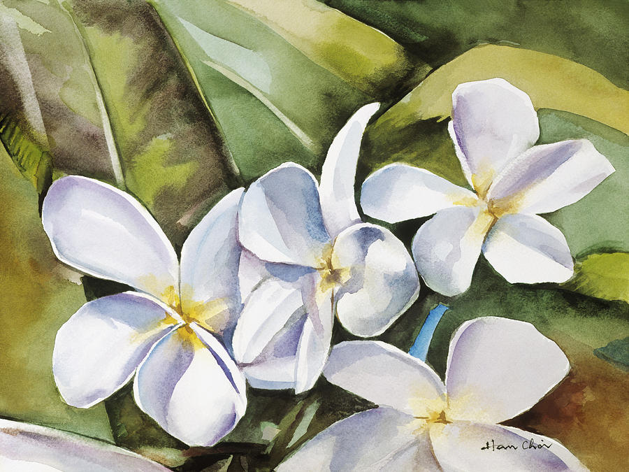 900x675 Plumeria Paintings Fine Art America - Plumeria Flower Painting