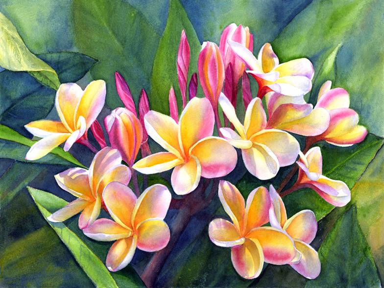 784x588 Plumeria Paintings Marcia Minnichhofer Kauai Art Hawaiian Art - Plumeria Flower Painting
