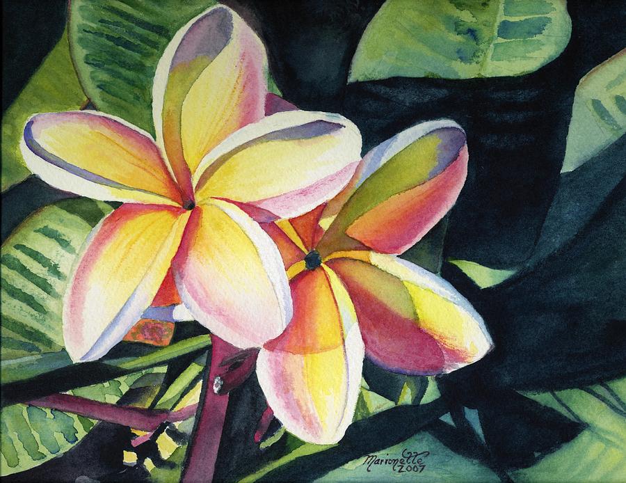 900x694 Rainbow Plumeria Painting By Marionette Taboniar - Plumeria Flower Painting