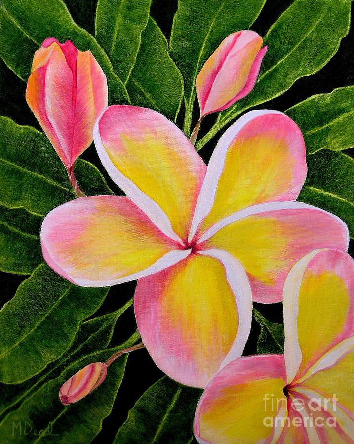 717x900 Rainbow Plumeria Painting By Mary Deal - Plumeria Flower Painting