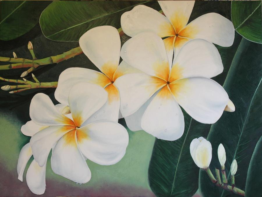 900x676 White Plumeria Painting By Teri Vaughn - Plumeria Flower Painting