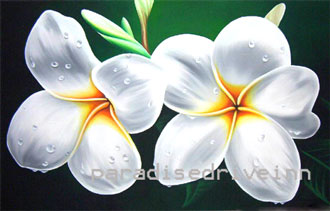 330x211 Wholesale Bali Plumeria Painting Supplier - Plumeria Flower Painting