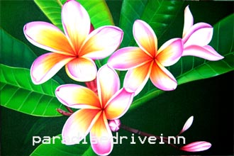 330x220 Wholesale Bali Plumeria Painting Supplier - Plumeria Flower Painting