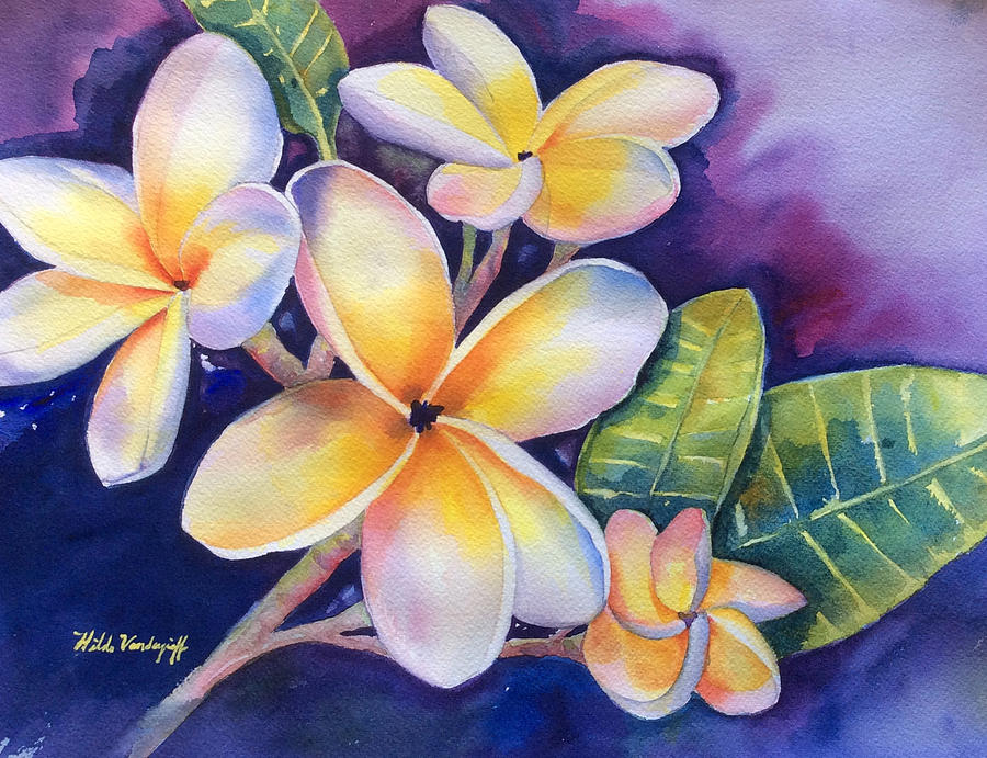 900x691 Yellow Plumeria Flowers Painting By Hilda Vandergriff - Plumeria Flower Painting