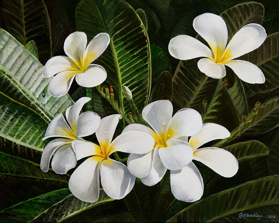 900x720 Hawaiian Plumeria Painting By Bob Manthey - Plumeria Painting