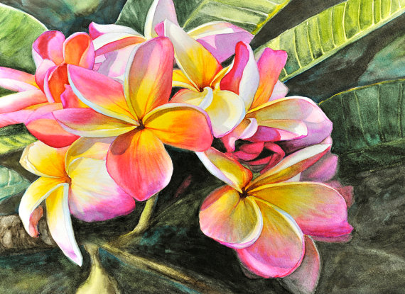 Plumeria Painting at PaintingValley.com | Explore collection of ...