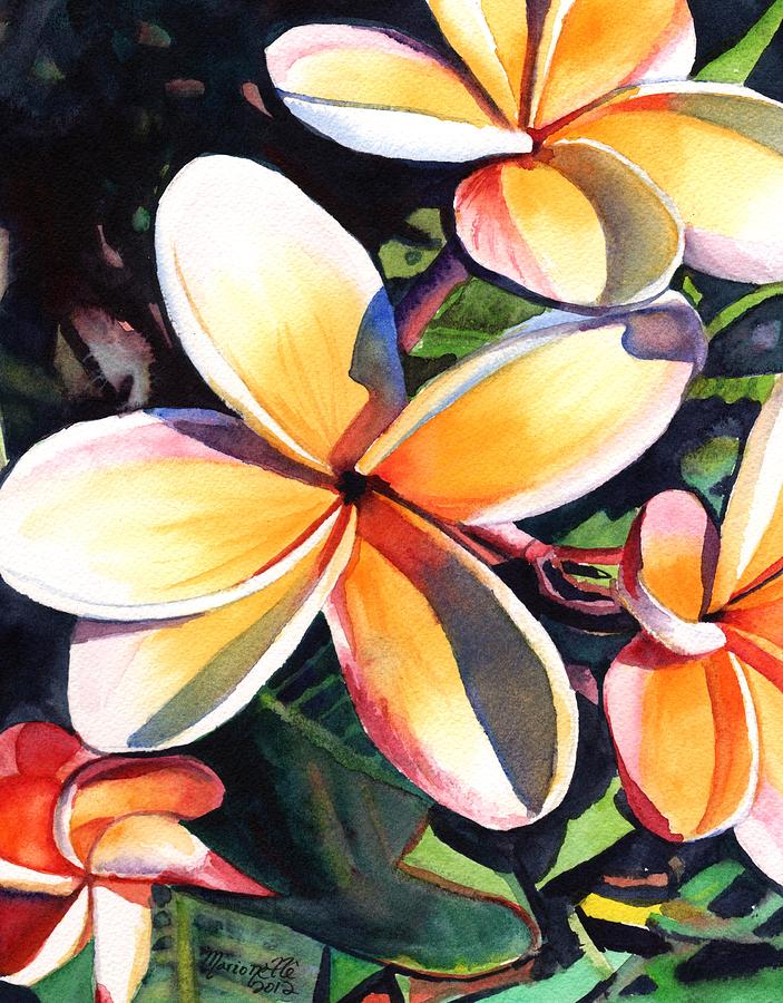 703x900 Kauai Rainbow Plumeria Painting By Marionette Taboniar - Plumeria Painting