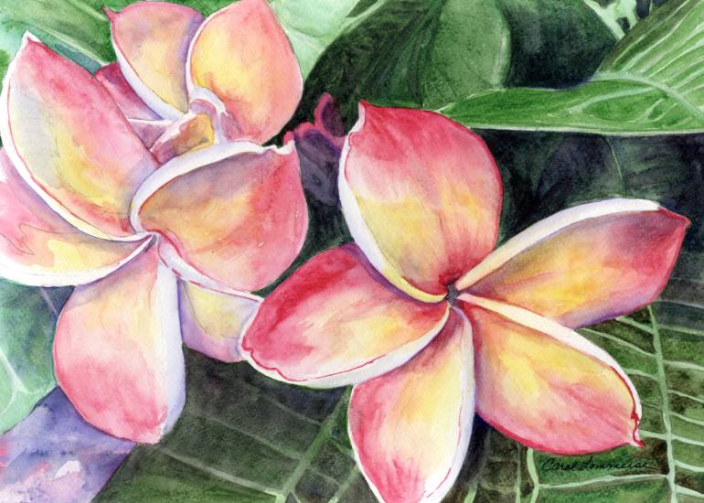 770x550 Saatchi Art Plumeria Painting By Carol Lommerse - Plumeria Painting