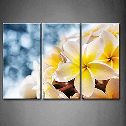 425x425 First Wall Art - Plumeria Painting