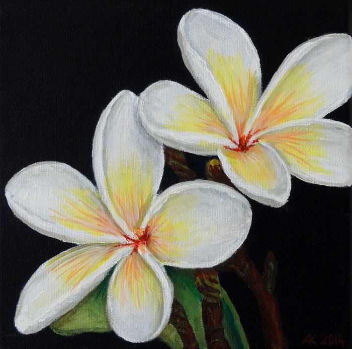 700x693 White Plumeria Painting - Plumeria Painting