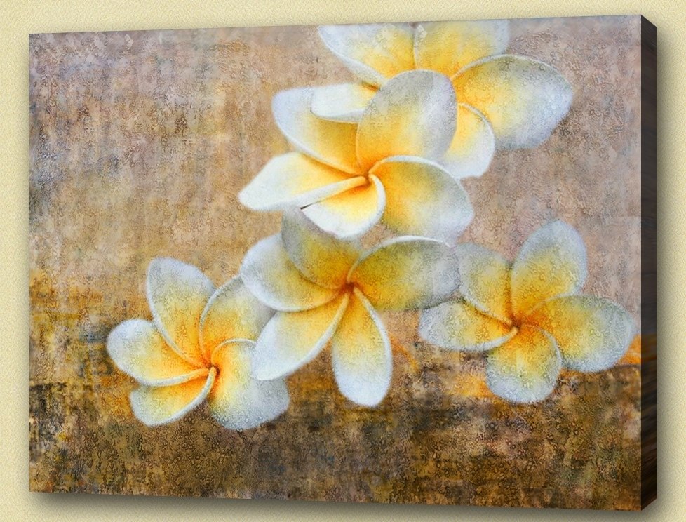 978x744 Buy Plumeria - Plumeria Painting