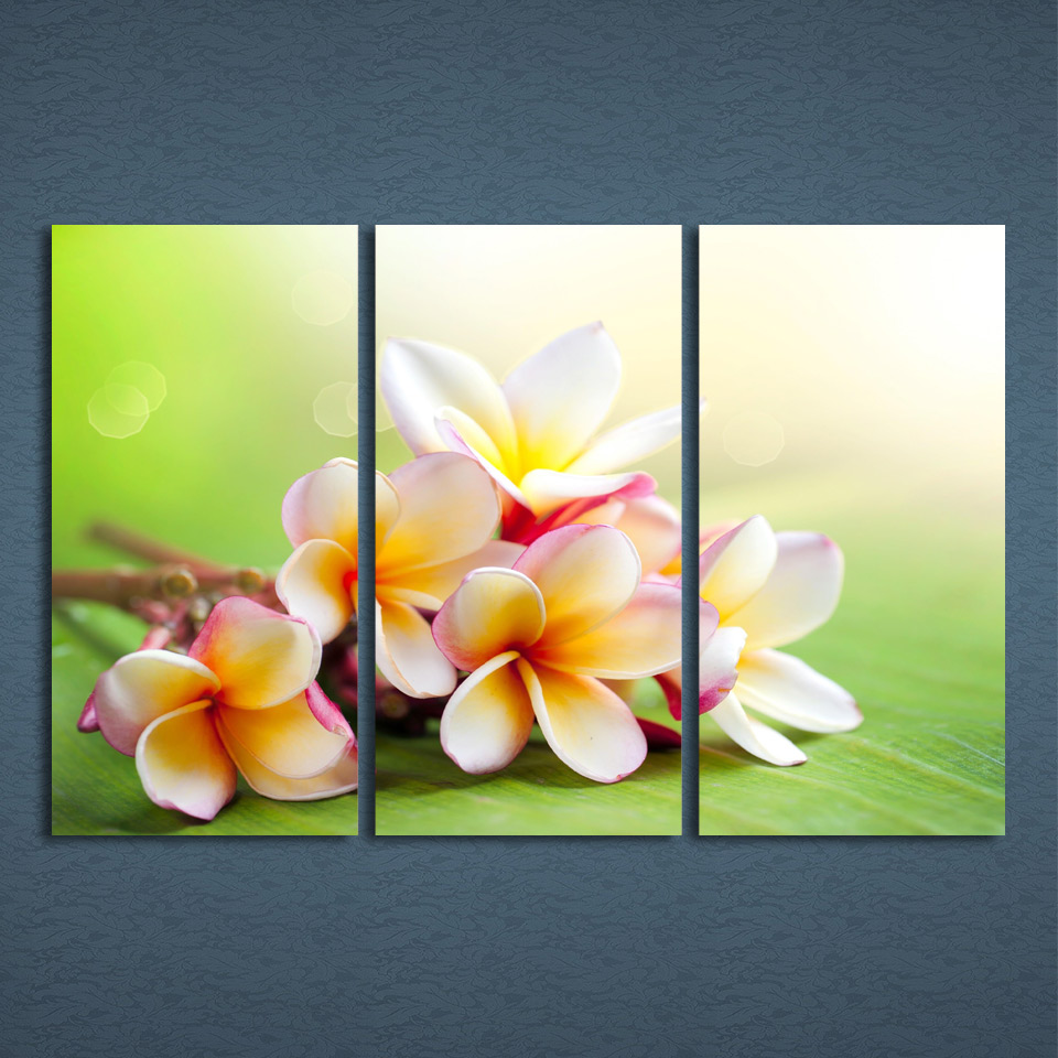 Plumeria Painting at PaintingValley.com | Explore collection of ...