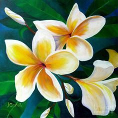 236x236 Flower Paintings - Plumeria Painting
