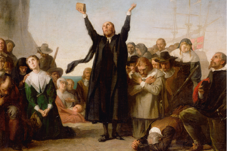 730x486 Tag Plymouth Rock The Spectator - Plymouth Rock Painting