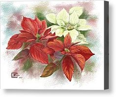 236x198 Nancy Eaton's Beautiful Poinsettia Painting. Paint By Palettes - Poinsettia Painting