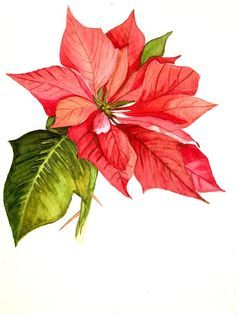 236x314 Poinsettia Painting By Garima Srivastava Xmas Pallet - Poinsettia Painting