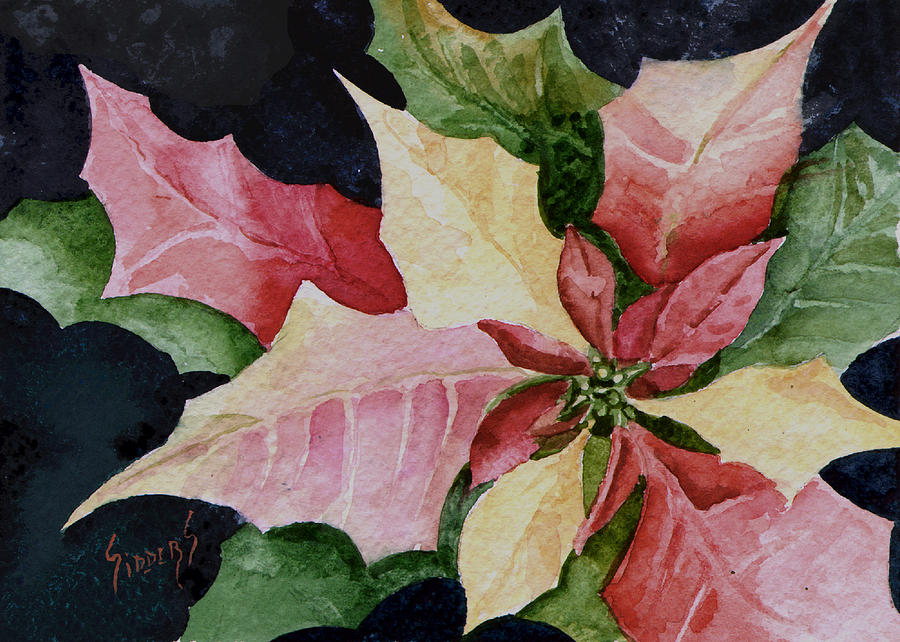 900x642 Poinsettia Painting By Sam Sidders - Poinsettia Painting