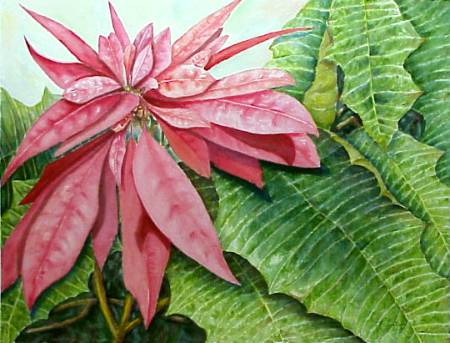 450x343 Betty Gerstner's China Painting Information On The Web - Poinsettia Painting