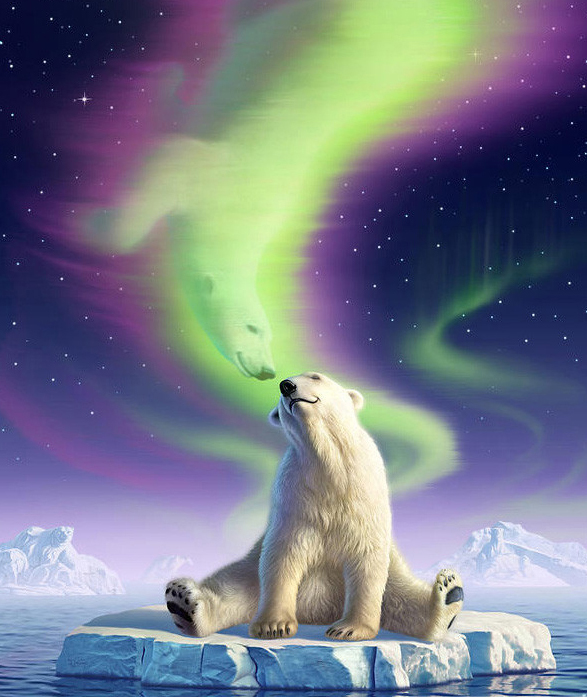 587x697 Polar Bear Kiss Diamond Painting Embroidery Kit 5d Diamond - Polar Bear Painting