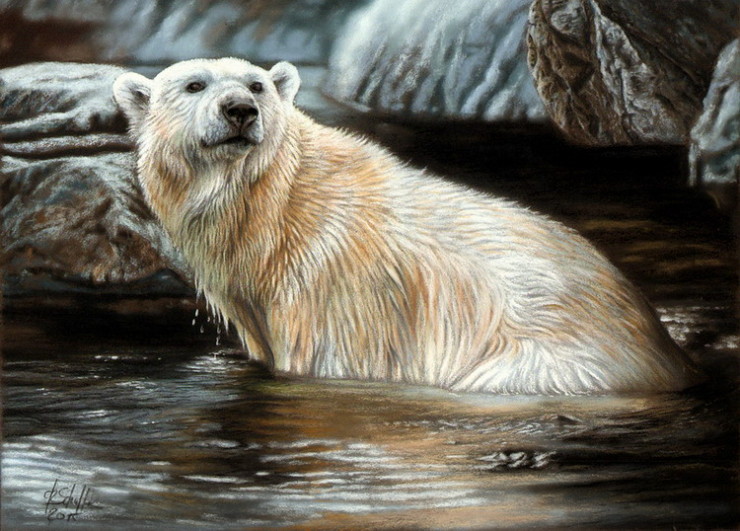 740x531 Pastel Polar Bear Christina Schulte Fine Art - Polar Bear Painting